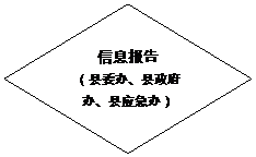 流程图: 决策: 信息报告
(县委办、县政府办、县应急办)