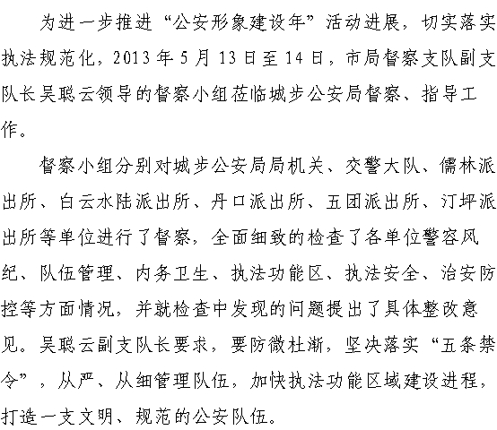 市公安局督察支队副支队长吴聪云一行莅临城步公安局督导、检查工作(图5)