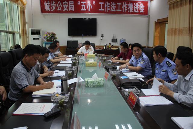 县委副书记、县长杨博理一行莅临城步公安局就政法综治基础工作暨项目建设现场办公(图1)