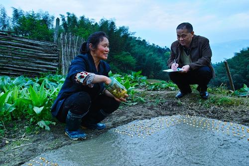 城步卫计局深入田间地头访民情(图1)