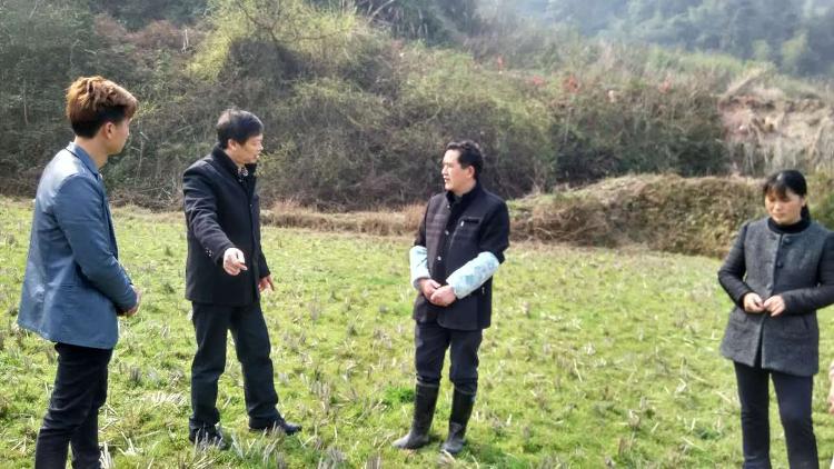 城步畜牧局技术人员积极介入  帮助村民规划养殖场(图1)