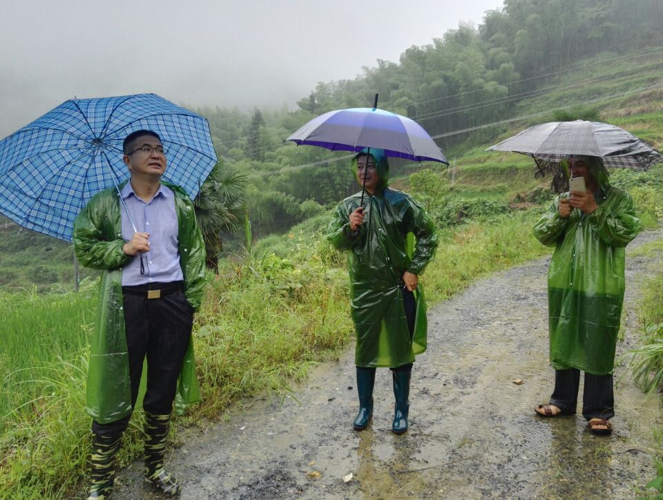 城步邀请专家对地质灾害进行现场勘察(图1)