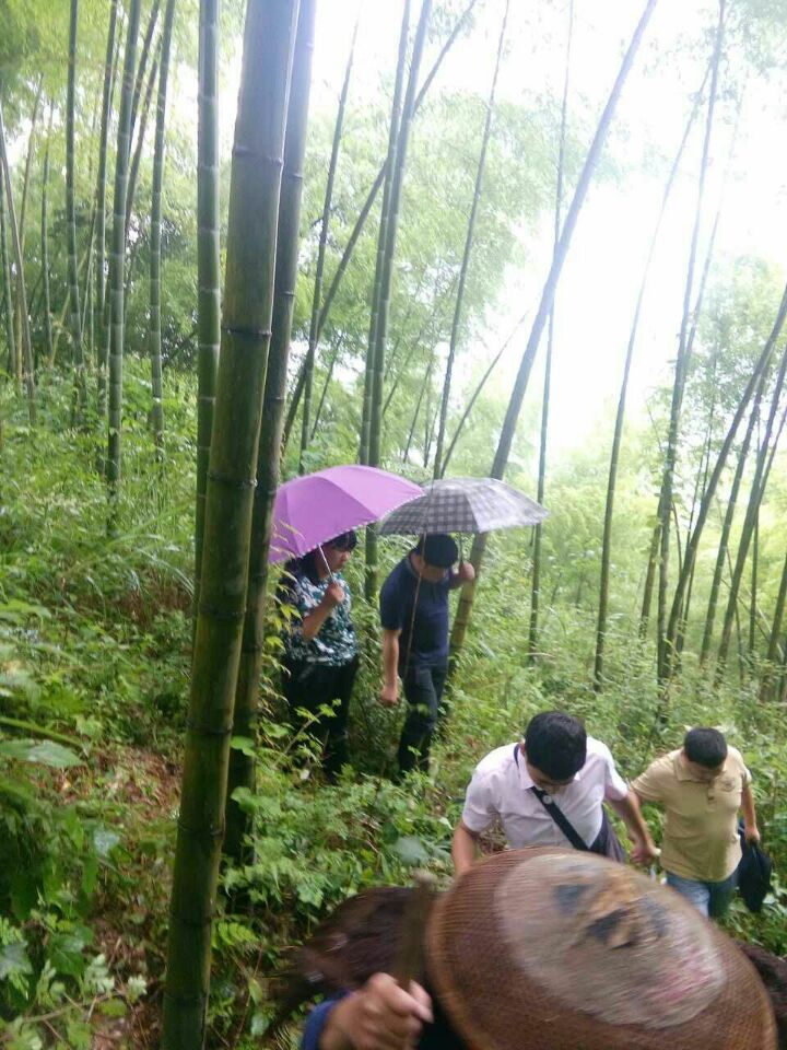 城步积极应对新增地质灾害隐患排查工作(图2)