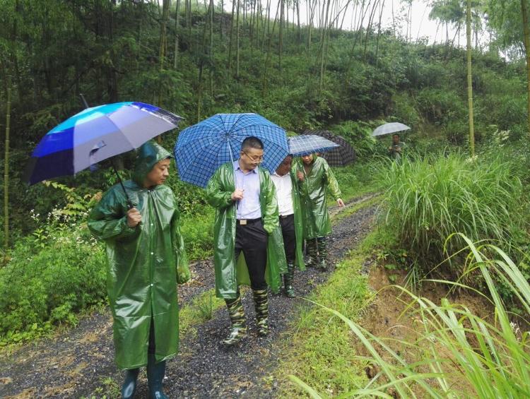 城步积极应对新增地质灾害隐患排查工作(图1)