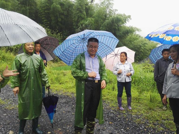 城步积极应对新增地质灾害隐患排查工作(图3)