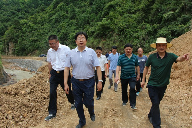 市国土资源局局长李桂楚深入城步指导地灾防治工作(图2)