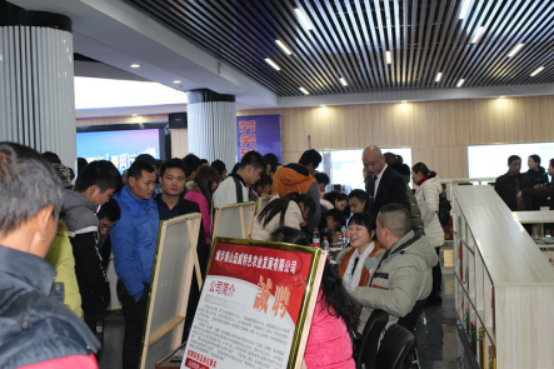 城步启动2018年首场“春风行动”专场招聘会(图8)