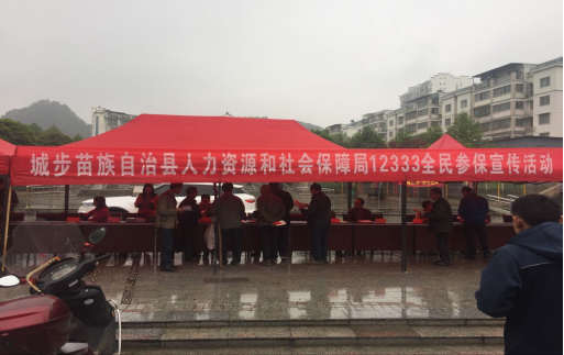 城步苗族自治县人力资源和社会保障局开展2018年“12333全国统一咨询日”主题宣传活动(图1)