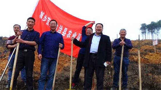 城步农业局义务植树打造秀美苗乡(图1)