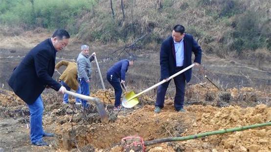 城步农业局义务植树打造秀美苗乡(图2)