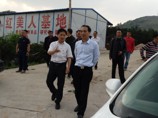 县委副书记、县长杨博理调研指导茅坪镇、司法局驻土桥农场三居委会脱贫攻坚工作(图1)