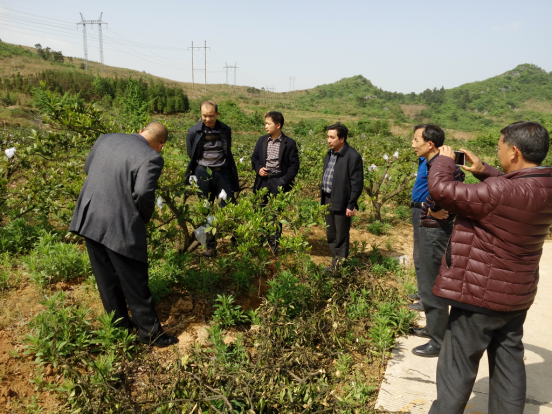 政协主席黄进录调研指导茅坪三居委会扶贫工作(图1)