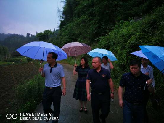 杨博理县长调研指导汀坪乡杨梅村扶贫工作(图2)