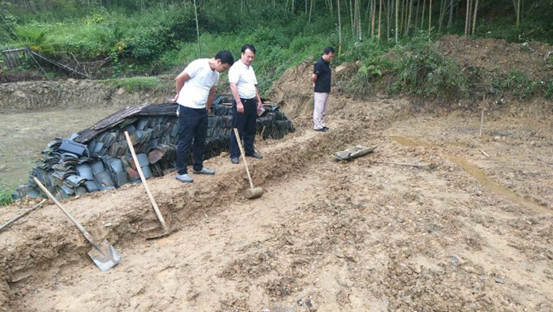 国土资源局深入儒林镇金水村开展增减挂钩项目工作(图1)