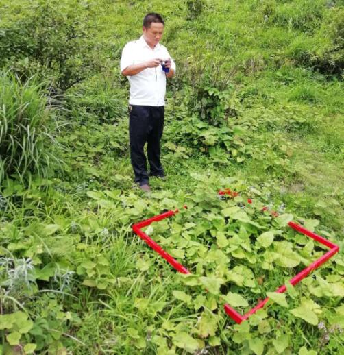 城步畜牧局开展草地生态监测(图1)