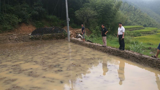 国土资源局深入儒林镇金水村开展增减挂钩项目工作(图2)