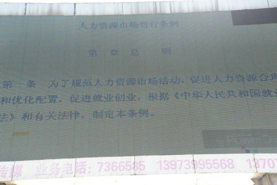 城步苗族自治县开展  《人力资源市场暂行条例》  宣传活动(图5)