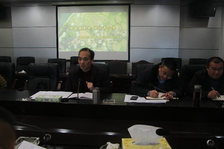 城步召开城乡建设用地增减挂钩和土地开发工作调度会(图1)
