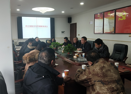 张戈锐调研指导西岩镇脱贫攻坚工作(图1)