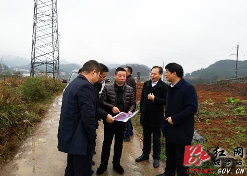阳恩平调研全县土地储备工作(图1)
