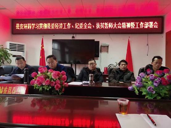 城步安环局深入贯彻省市县会议精神部署2019年工作(图1)