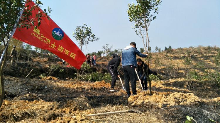 城步国土资源局积极参加植树活动(图1)
