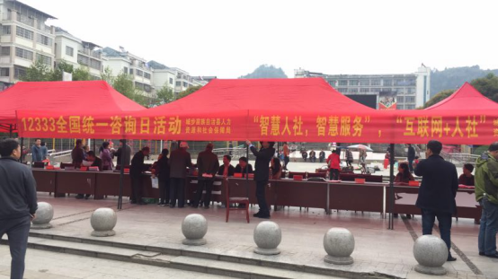 城步人社开展“12333全国统一咨询日”活动(图1)