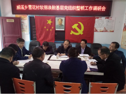 杨博理一行前往威溪乡调研软弱涣散基层党组织整顿工作(图1)