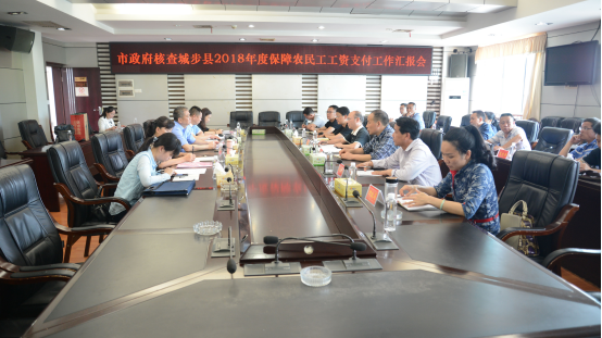 市政府核查城步2018年度保障农民工工资专项工作(图1)