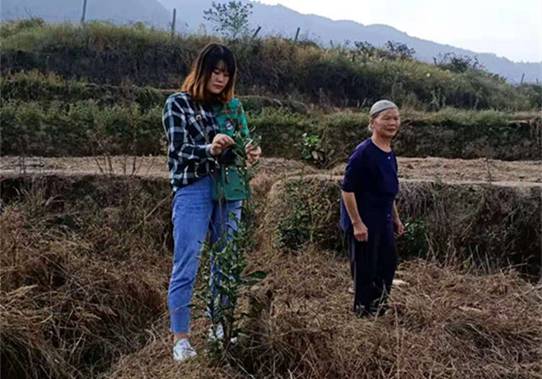 邵阳市生态环境局城步分局扶贫真功夫留下深脚印(图3)