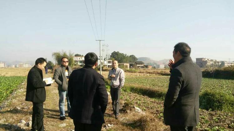 杨向阳副局长带队现场指导扶贫村（杨田村）整理项目(图1)