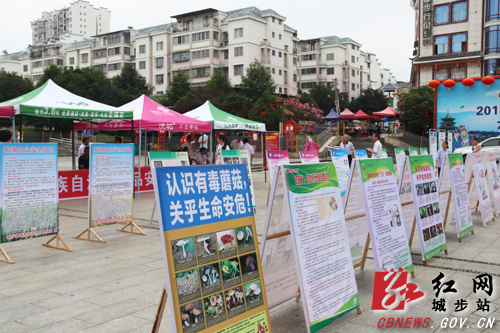 城步全面启动食品安全宣传周活动(图2)