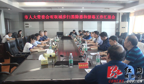 市人大常委会调研组深入城步调研扫黑除恶和禁毒工作(图1)