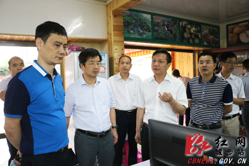 省委政研室调研组深入城步调研脱贫攻坚工作(图1)