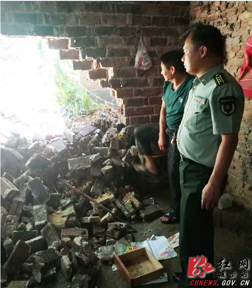 李新平深入金紫乡指导灾后重建(图1)