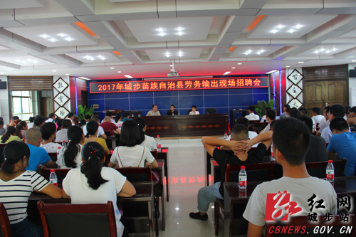 湖南省商务厅在城步进行劳务输出对接工作(图2)