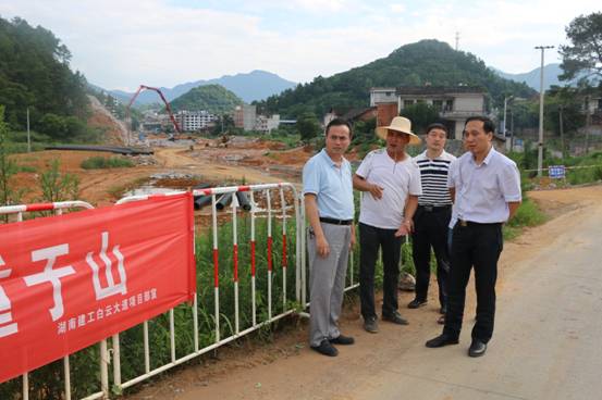 杨博理专题调度白云大道项目建设(图1)