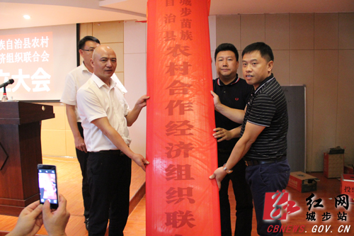 城步农村合作经济组织联合会成立(图4)