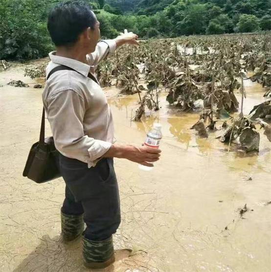 省农业科技服务专家团指导城步灾后重建(图2)