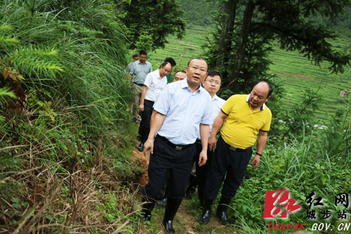 罗建南深入长安营镇指导基层党建、脱贫攻坚和防汛救灾工作(图2)