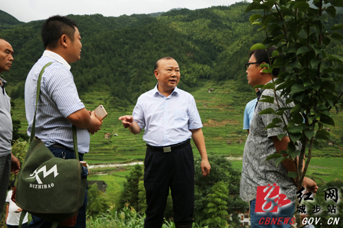 罗建南深入长安营镇指导基层党建、脱贫攻坚和防汛救灾工作(图5)