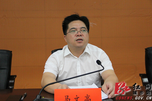 城步推进“互联网+监督”平台建设工作(图3)