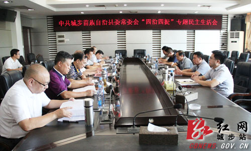 城步委常委会召开“四治四提”专题民主生活会(图1)
