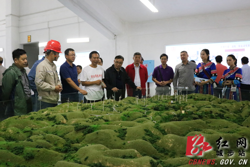 邵阳市政协委员视察城步工作(图5)
