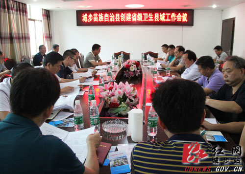 城步召开创省卫和农村环卫整治工作调度会(图1)