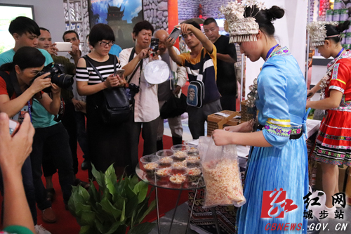 城步组团参加湖南旅游产业博览会(图3)