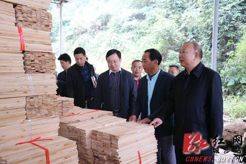 罗建南深入西岩茅坪开展“三走访”活动(图1)