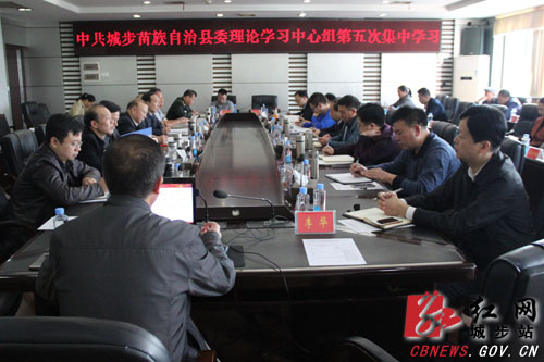 城步专题学习贯彻党的十九大精神(图1)