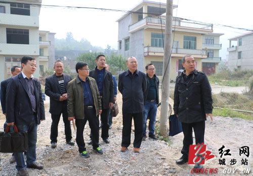 罗建南深入西岩茅坪开展“三走访”活动(图2)