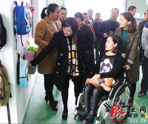 城步政协委员开展集中视察聚焦实体经济和产业发展(图4)